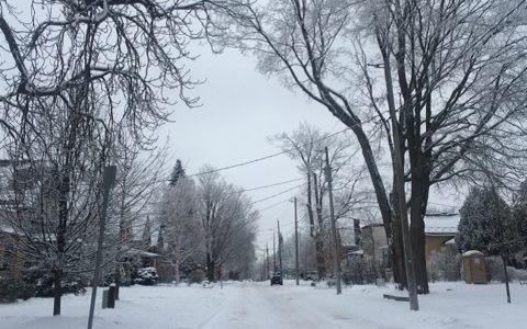 カナダの冬