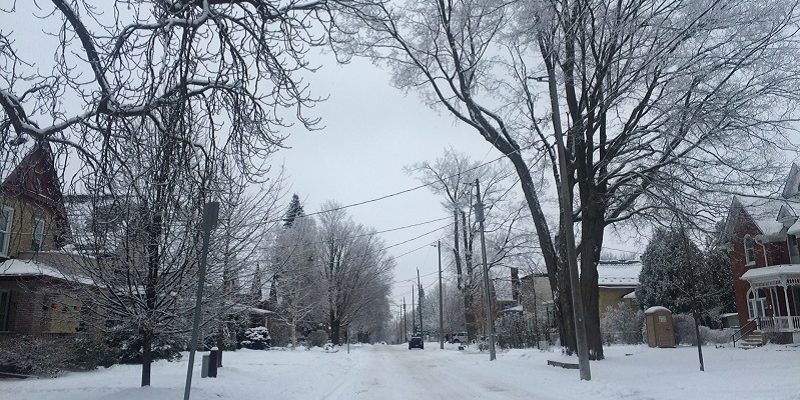 カナダの冬